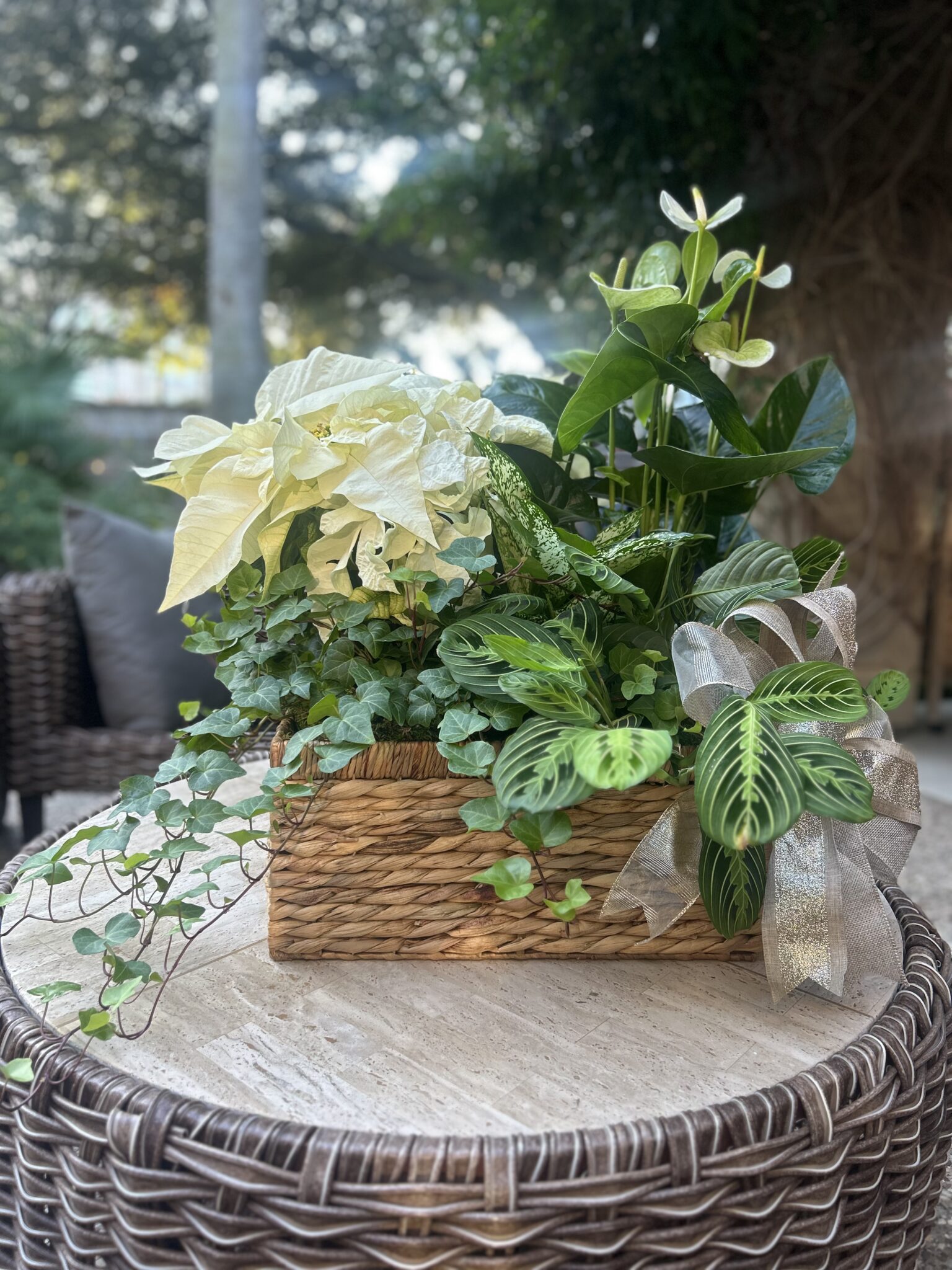 Plant Basket