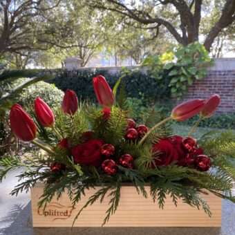 BloomBox - Seasons Greetings2