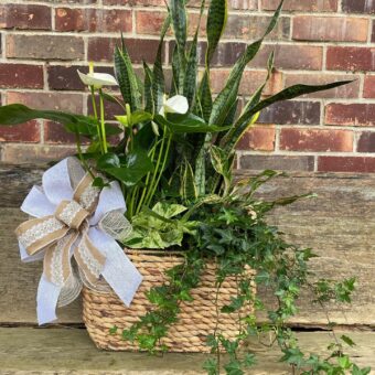 Sympathy Basket